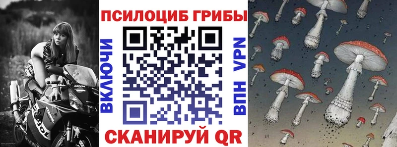 blacksprut ONION  Сердобск  Псилоцибиновые грибы мицелий 
